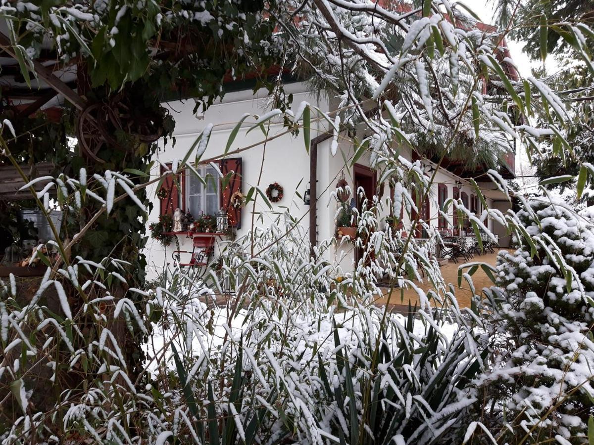 Garten Vendégház Eger Exterior foto