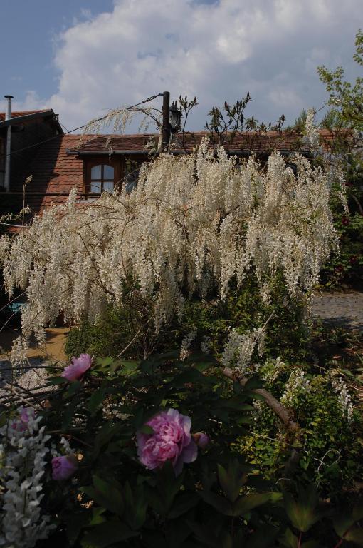 Garten Vendégház Eger Exterior foto