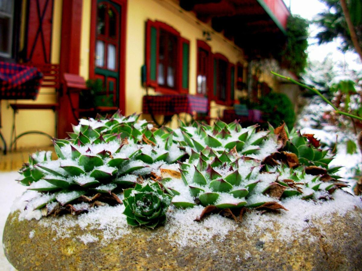 Garten Vendégház Eger Exterior foto