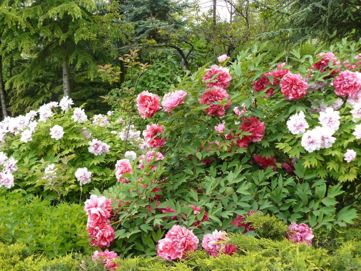 Garten Vendégház Eger Exterior foto